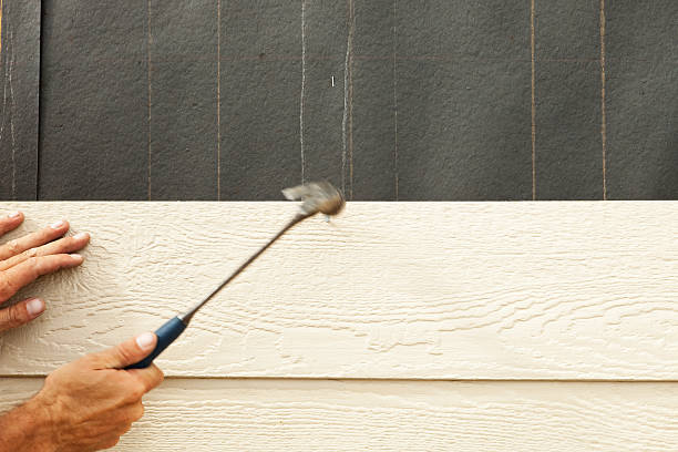 Best Siding Painting and Refinishing  in Florin, CA